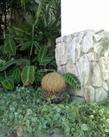 /album/galeria-de-fotos/za3gf5d-1-jpg/